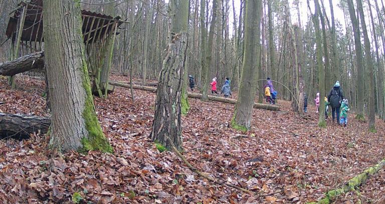 Mezi úlovky jsou i děti samotné. Foto: fotopast MŠ Rabí