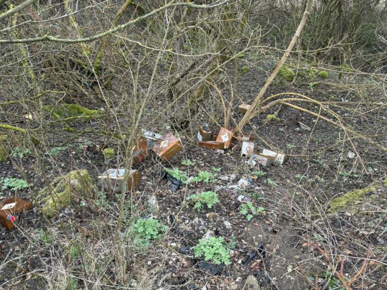 Ukliďmě Česko v Rabí. Foto: Marie Jamrichová